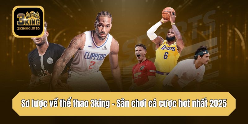 Sơ lược về thể thao 3king - Sân chơi cá cược hot nhất 2025